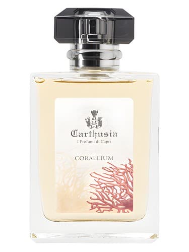 Corallium - کورالیوم