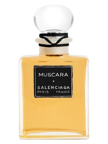 Muscara - مسکارا