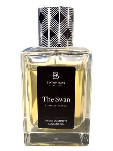 The Swan