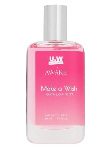 Make a Wish Follow Your Heart - آرزو کن قلبت را دنبال کن