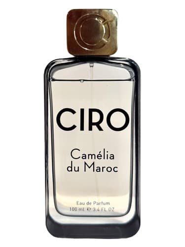 Camélia du Maroc - کاملیا دو ماروک