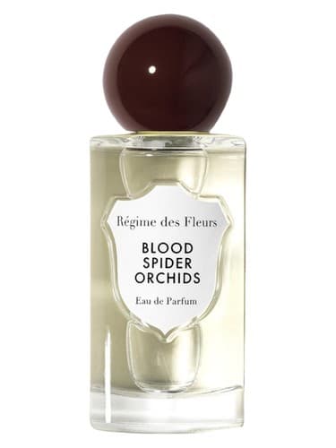 Blood Spider Orchids 2025