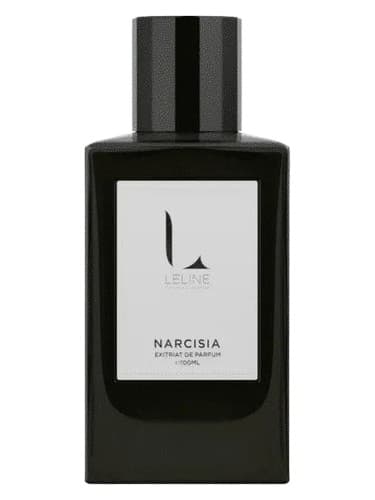 Narcisia - نارسیسیا