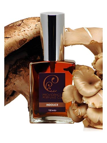 Indolice