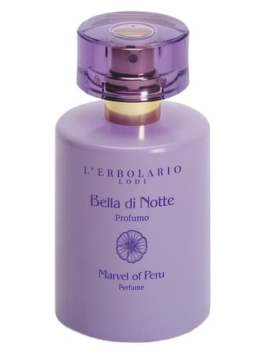 Bella di Notte (Marvel of Peru) - بلا دی نوت (مارول پرو)