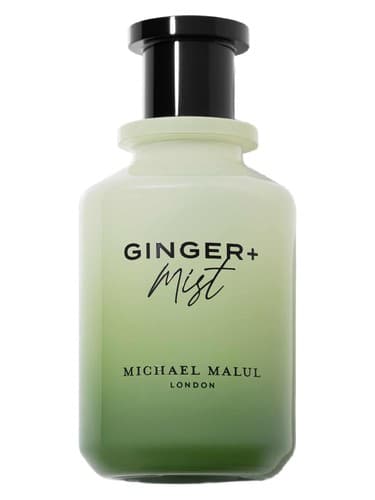 Ginger+Mist - زنجبیل + مه