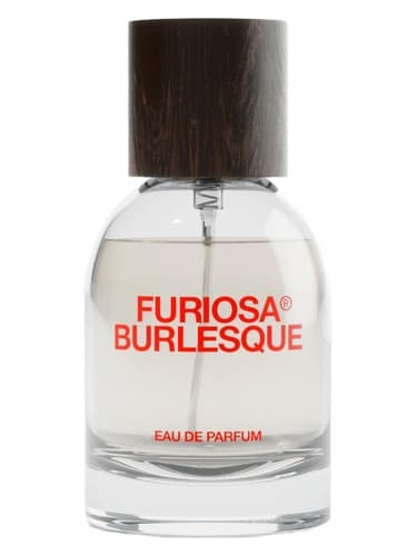 Burlesque - بورلسک