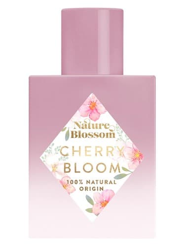 Cherry Bloom - شکوفه چری
