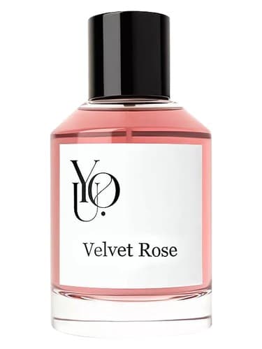 Velvet Rose - رز مخملی