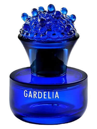 Gardelia 2025 - گاردلیا 2025