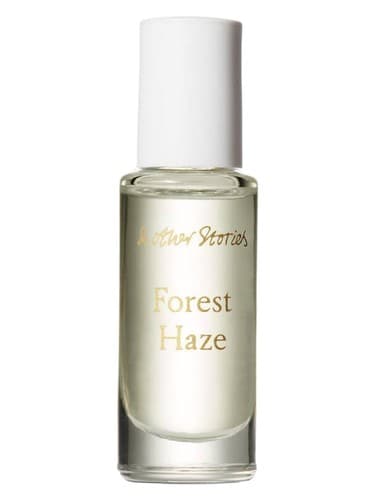 Forest Haze - مه جنگل