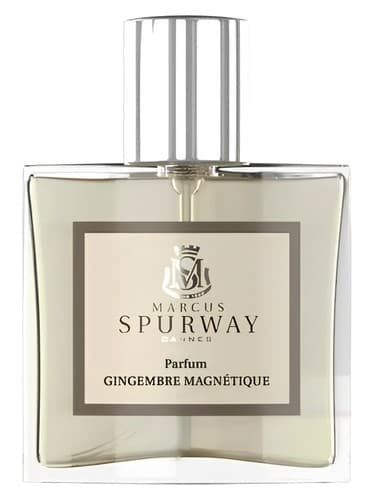 Gingembre Magnétique