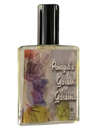 Panagia's Garden: Gardenia