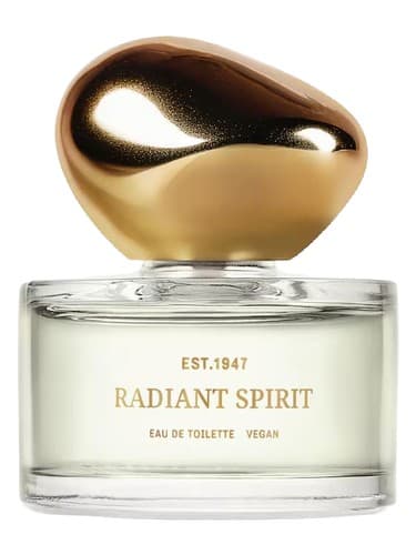 Radiant Spirit - روح تابناک