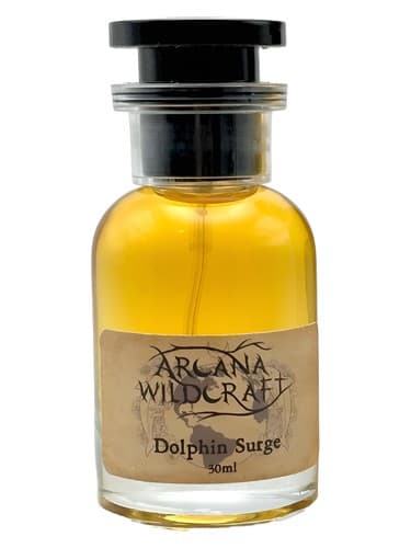 Dolphin Surge - موج دلفین