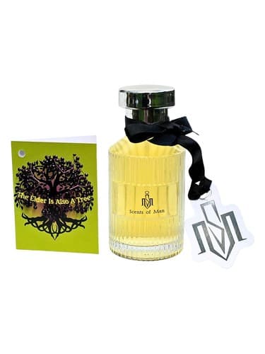 The Elder Is Also A Tree - The Elder نیز یک درخت است