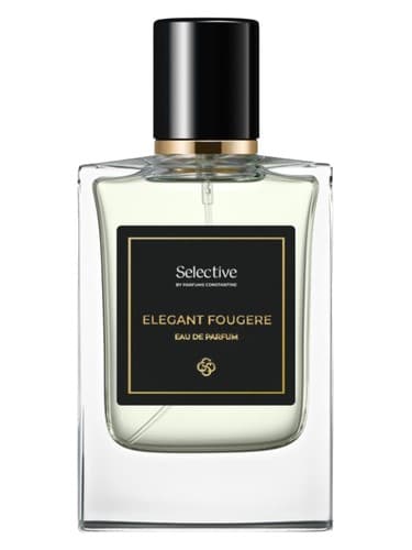 Elegant Fougère - فوگر زیبا