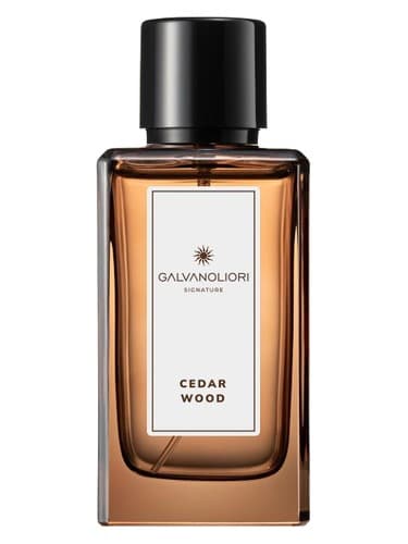 Galvanoliori Cedar Wood - وود سرو گالوانولیوری