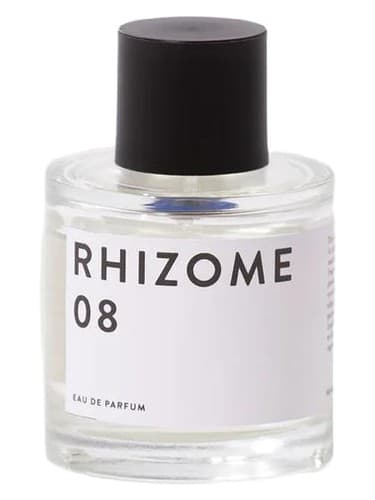 Rhizome 08 - ریزوم 08