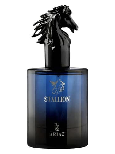 Stallion