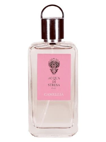 Camellia - کاملیا