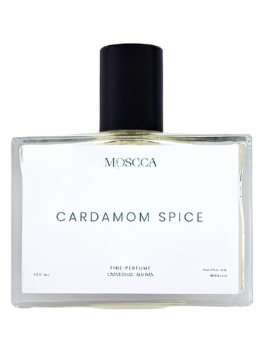 Cardamom Spice - ادویه هل