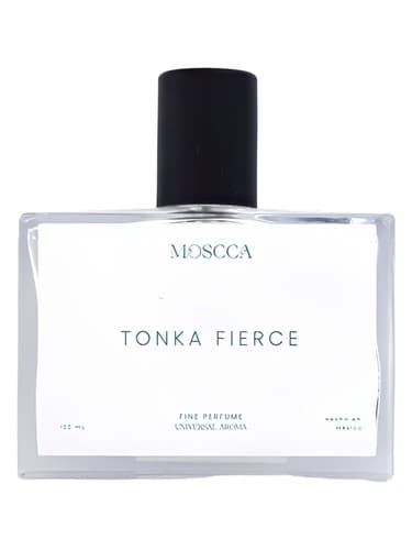 Tonka Fierce - تونکا فیرس