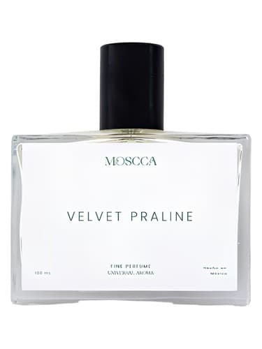 Velvet Praline