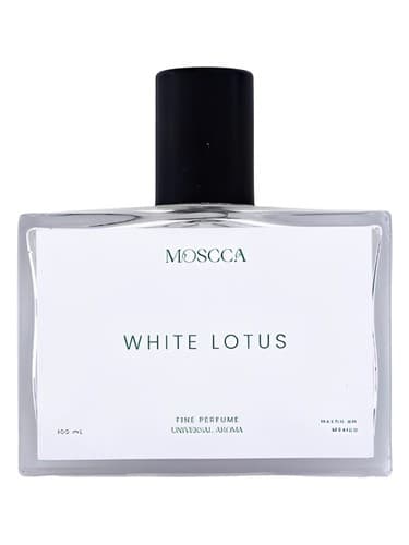 White Lotus - نیلوفر وایت
