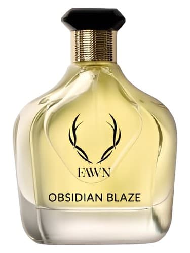 Obsidian Blaze