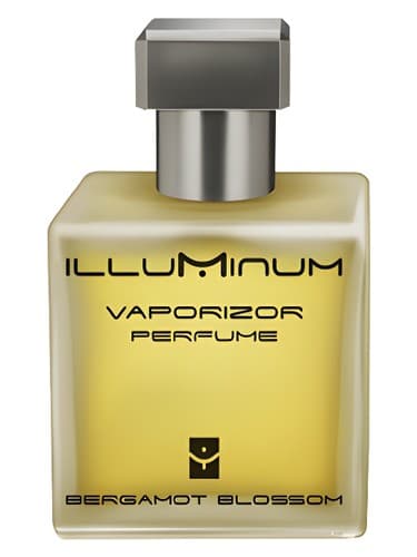 Bergamot Blossom