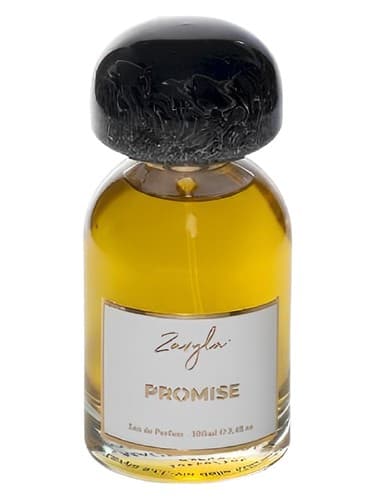 Promise - قول بده