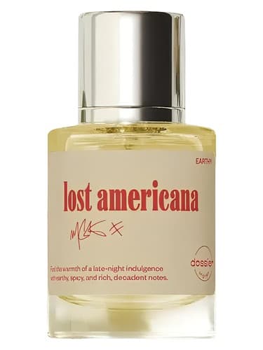 Lost Americana - آمریکانا گم شده