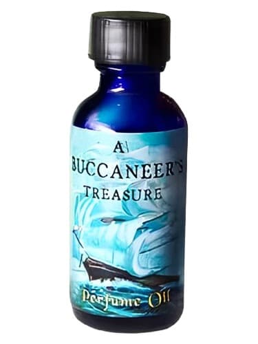 The Buccaneer's Treasure