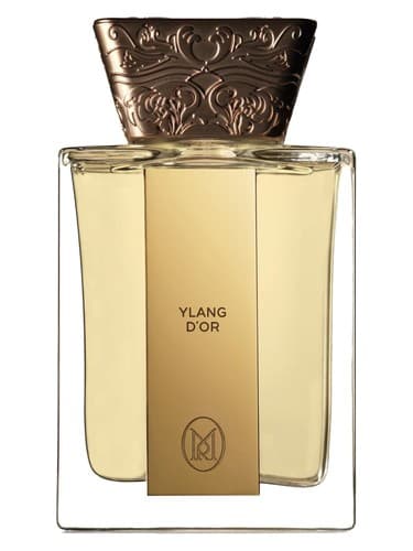 Ylang d’Or
