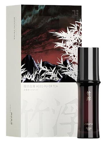 Aged Pu-Er Tea 夜访普洱
