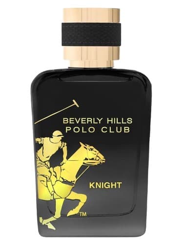 Knight - شوالیه