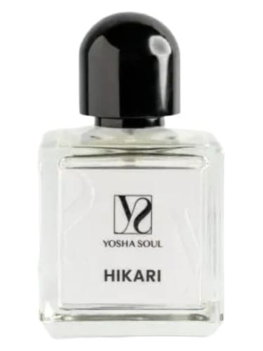 Hikari - هیکاری