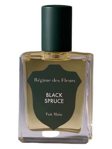 Black Spruce - صنوبر بلک