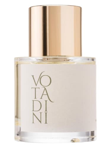 Votadini - ووتادینی