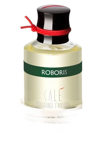 Roboris - روبوریس