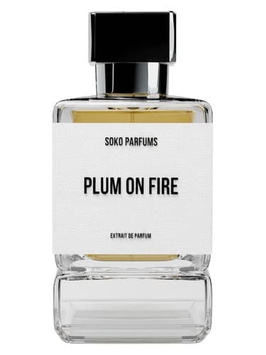 Plum on Fire - آلو در آتش
