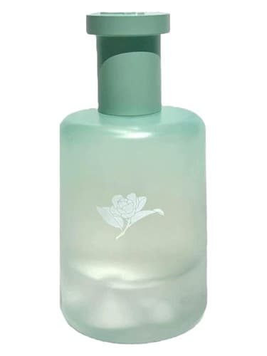 Camellia in the Mountain 清野山茶 - کاملیا در مانتین 清野山茶