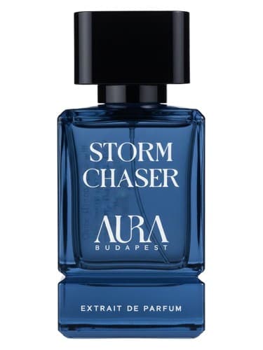 Storm Chaser - تعقیب کننده طوفان