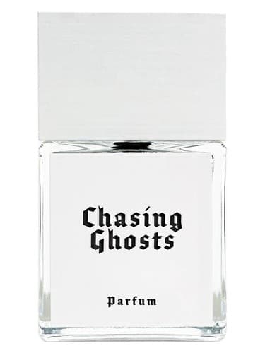 Chasing Ghosts - تعقیب ارواح