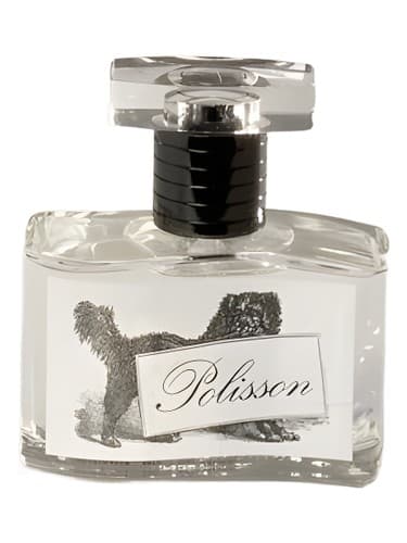 Polisson - پولیسون