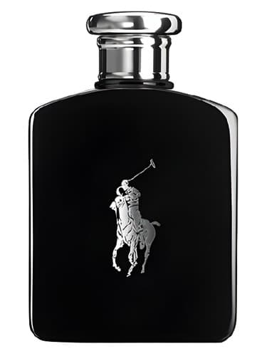 Polo Black - پولو بلک