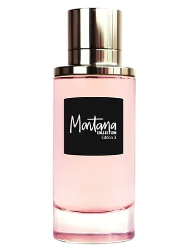 Montana Collection Edition 3 - نسخه 3 مجموعه مونتانا