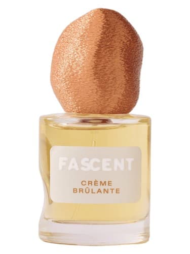 Crème Brûlante - کرم برولانته