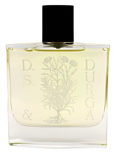 Osmanthus